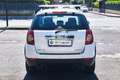 Chevrolet Captiva Captiva 2.2 VCDi 163CV 2WD LT Bianco - thumbnail 6