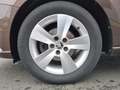 Skoda Fabia 1.2 TSI Ambition Garantie  Klima PDC Alu incl.Wint Brun - thumbnail 9