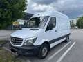 Mercedes-Benz Sprinter 316 CDI 3,5t / 3.250 mm Weiß - thumbnail 1