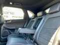 Ford Kuga 1.5 ecoblue ST-Line X 120cv Aut. PREZZOREALE/UNIPR Grigio - thumbnail 12