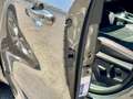 Ford Kuga 1.5 ecoblue ST-Line X 120cv Aut. PREZZOREALE/UNIPR Grigio - thumbnail 6