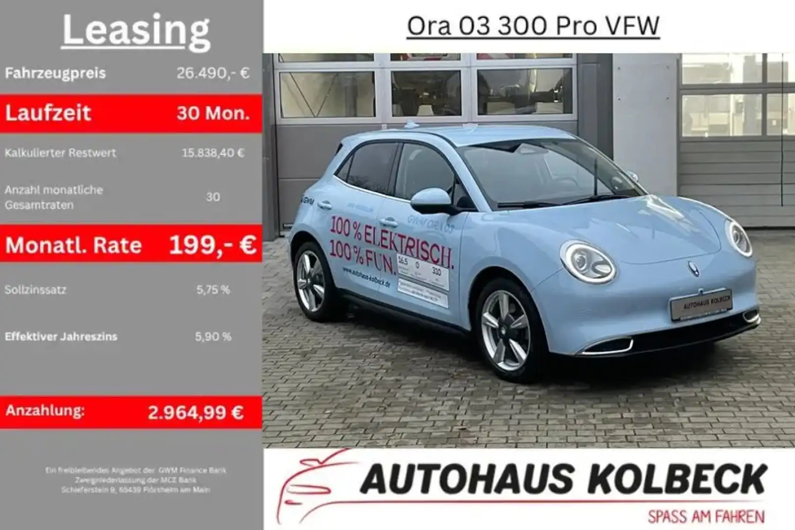 GWM ORA 03 300 Pro Blau - 1