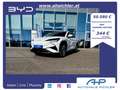 BYD Sealion 7 Excellence AWD 91.5 kWh 530PS LEASING AKTION Weiß - thumbnail 1