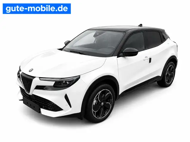 Alfa Romeo Junior