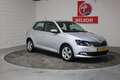 Skoda Fabia 1.0 Ambition Businessline, Cruise control, Navigat Grau - thumbnail 4