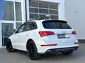 Audi SQ5 3.0 TDI Competition Quattro *AHK*PANO*KAME* Weiß - thumbnail 4