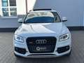 Audi SQ5 3.0 TDI Competition Quattro *AHK*PANO*KAME* Weiß - thumbnail 13