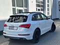 Audi SQ5 3.0 TDI Competition Quattro *AHK*PANO*KAME* Weiß - thumbnail 3