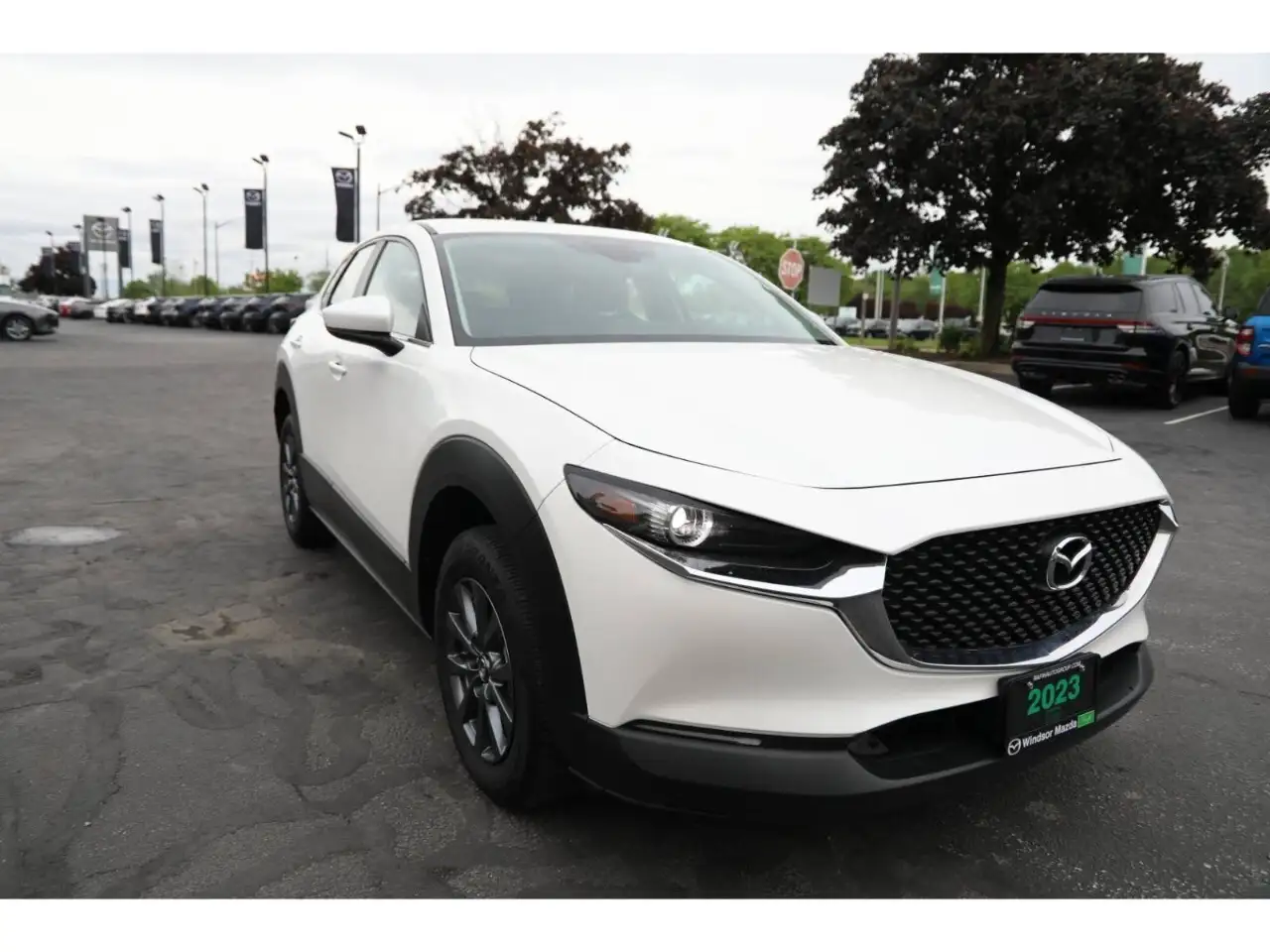 Mazda CX-30 fotografie Mazda CX-30