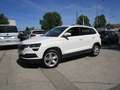 Skoda Karoq 2,0 TDI Ambition SC Weiß - thumbnail 5