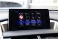 Lexus NX 300h 198 pk AWD President Line / Red-Carpet/ Stoel.Verw Grijs - thumbnail 39