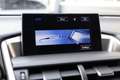 Lexus NX 300h 198 pk AWD President Line / Red-Carpet/ Stoel.Verw Grijs - thumbnail 38