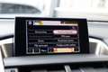 Lexus NX 300h 198 pk AWD President Line / Red-Carpet/ Stoel.Verw Grijs - thumbnail 40