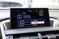 Lexus NX 300h 198 pk AWD President Line / Red-Carpet/ Stoel.Verw Grijs - thumbnail 37