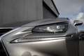 Lexus NX 300h 198 pk AWD President Line / Red-Carpet/ Stoel.Verw Grijs - thumbnail 45
