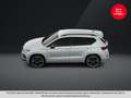 CUPRA Ateca 1.5 TSI DSG 150 Weiß - thumbnail 2