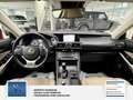 Lexus IS 300 h 2 Hand. Rouge - thumbnail 22