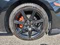 Ford Mustang Fastback 2.3  290cv auto Allestimento SHELBY Negro - thumbnail 16