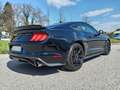 Ford Mustang Fastback 2.3  290cv auto Allestimento SHELBY Nero - thumbnail 5