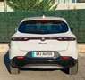 Alfa Romeo Tonale 1.6 DS Tributo Italiano FWD Blanc - thumbnail 13