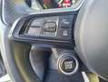 Alfa Romeo Tonale 1.6 DS Tributo Italiano FWD Blanc - thumbnail 18