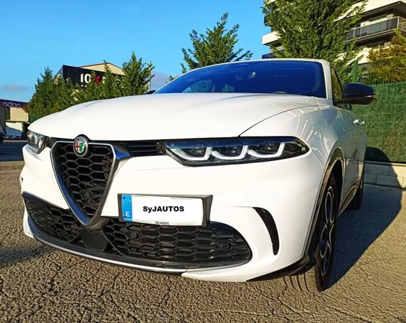 Alfa Romeo Tonale 1.6 DS Tributo Italiano FWD Blanc - 1