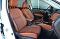 Nissan X-Trail Tekna 4x4 Weiß - thumbnail 11