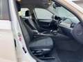 BMW X1 Baureihe X1 18 d sDrive Blanc - thumbnail 15