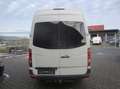 Volkswagen Crafter 30 mittel L2H2 Hochdach,9-Sitzer Bianco - thumbnail 3