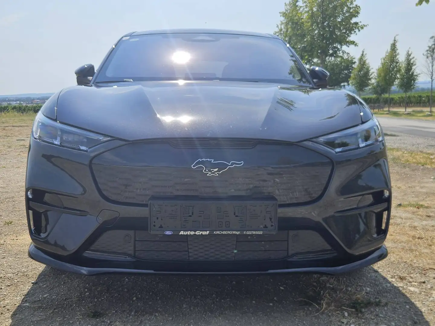 Ford Mustang Mach-E Mustang Mach-E Elektro 99kWh Extended Range AWD GT Extended Range GT Schwarz - 1