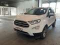 Ford EcoSport EcoSport  1.0 ecoboost Titanium GPL Bianco - thumbnail 1