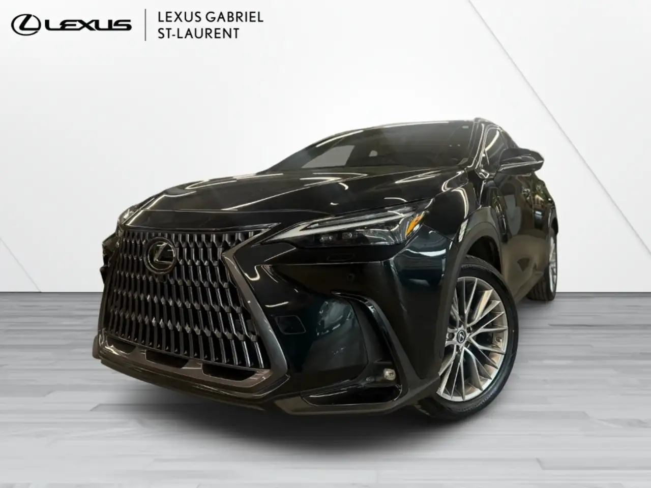 2022 Lexus NX