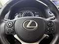 Lexus CT 200h Ultimate Edition Grau - thumbnail 18