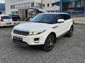 Land Rover Range Rover Evoque Pure Weiß - thumbnail 1