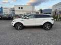 Land Rover Range Rover Evoque Pure Weiß - thumbnail 3
