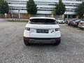 Land Rover Range Rover Evoque Pure Weiß - thumbnail 5