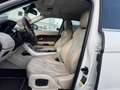 Land Rover Range Rover Evoque Pure Weiß - thumbnail 13