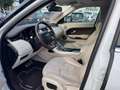 Land Rover Range Rover Evoque Pure Weiß - thumbnail 10