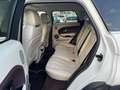 Land Rover Range Rover Evoque Pure Weiß - thumbnail 11