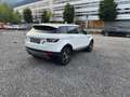 Land Rover Range Rover Evoque Pure Weiß - thumbnail 6
