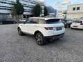 Land Rover Range Rover Evoque Pure Weiß - thumbnail 4