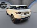 Land Rover Range Rover Evoque Pure Weiß - thumbnail 4