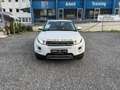 Land Rover Range Rover Evoque Pure Weiß - thumbnail 2