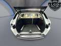 Land Rover Range Rover Evoque Pure Weiß - thumbnail 5
