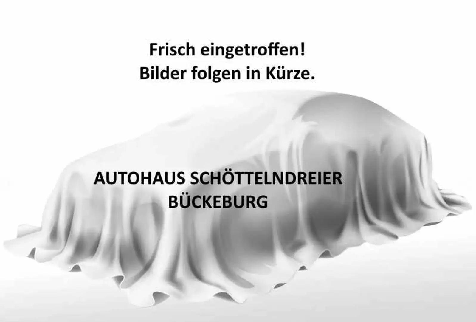 Renault Twingo Electric ZEN*ALLWETTER 16 ZOLL*SITZHZ* Blanc - 1