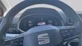 SEAT Ibiza 1.0 EcoTSI Style Business Intense Rood - thumbnail 27