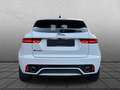 Jaguar E-Pace E-Pace P200 AWD R-Dyn. HSE 20" Sportsitze BlackP Weiß - thumbnail 4