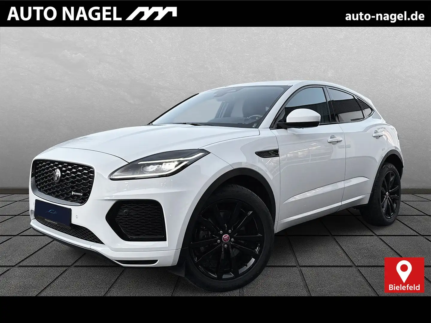 Jaguar E-Pace E-Pace P200 AWD R-Dyn. HSE 20" Sportsitze BlackP Weiß - 1