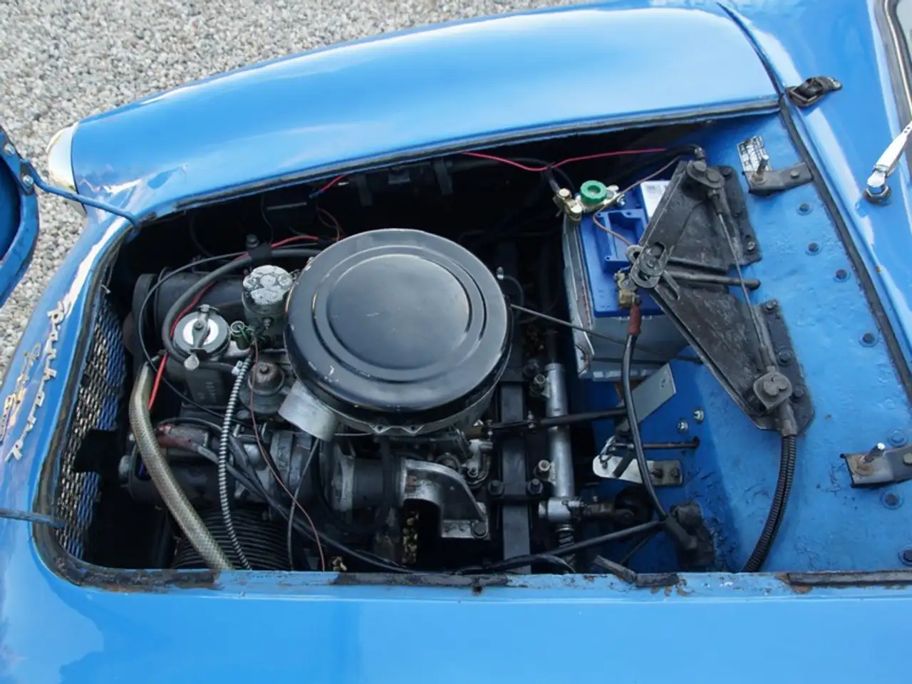 Panhard X86 Dolomites Pichon-Parat Competitor in the 1954, foto 11