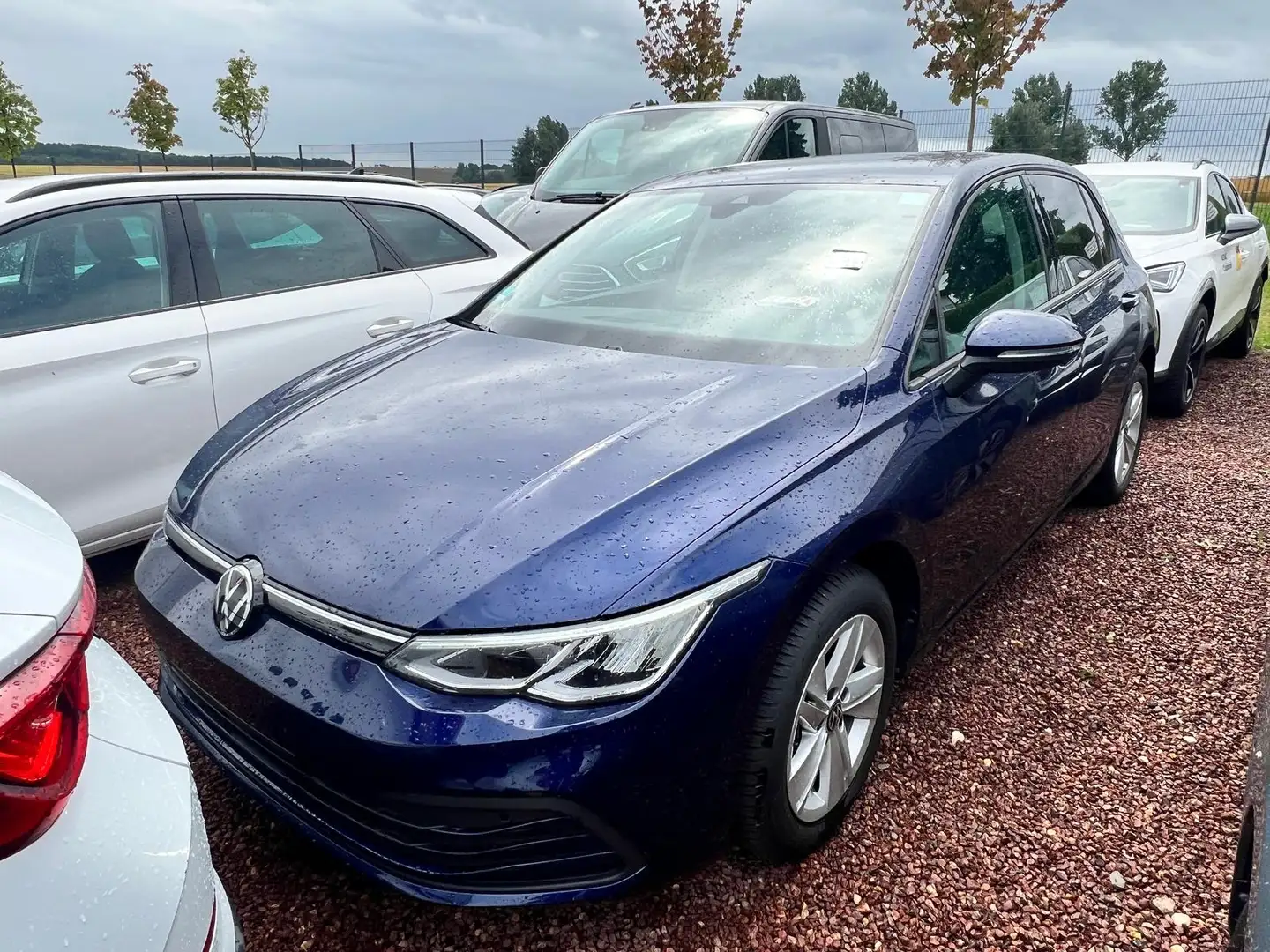 Volkswagen Golf 2.0 TDI DSG Life LED|virt.Cock.|Navi|ACC|RFK Bleu - 2